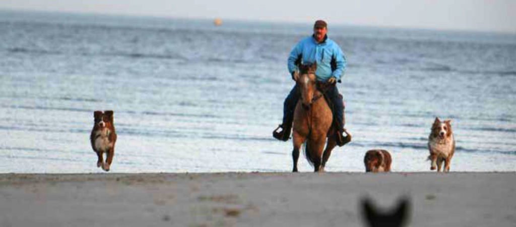 Prettyhorse-Farm-Reiten-Nordsee