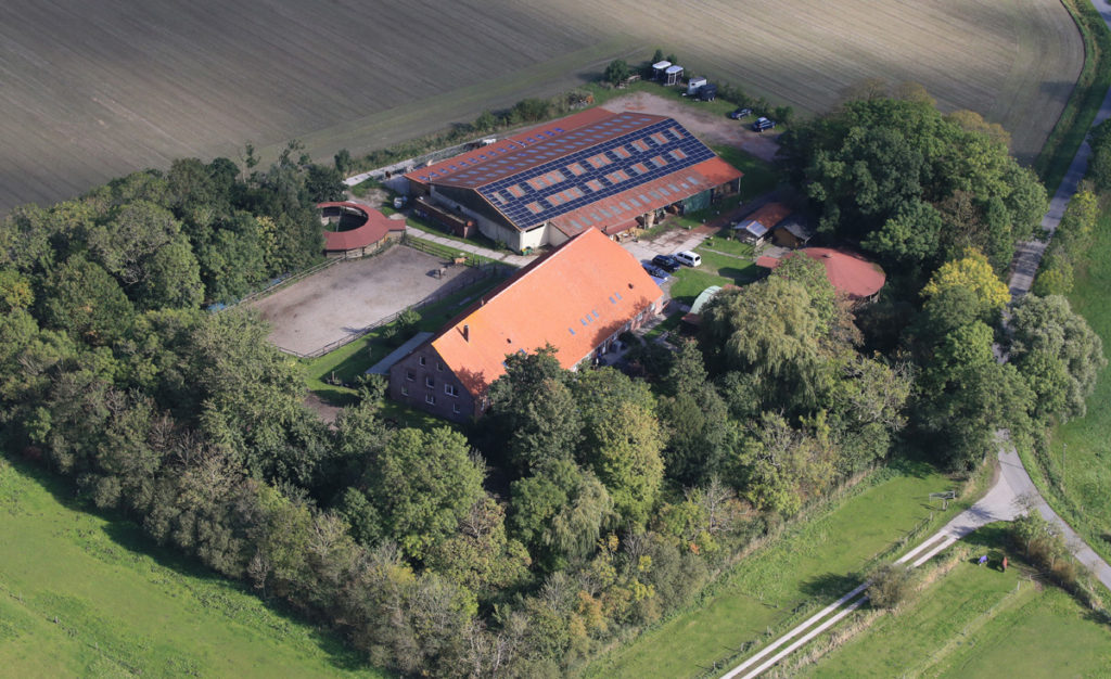 Pretty Horse Farm