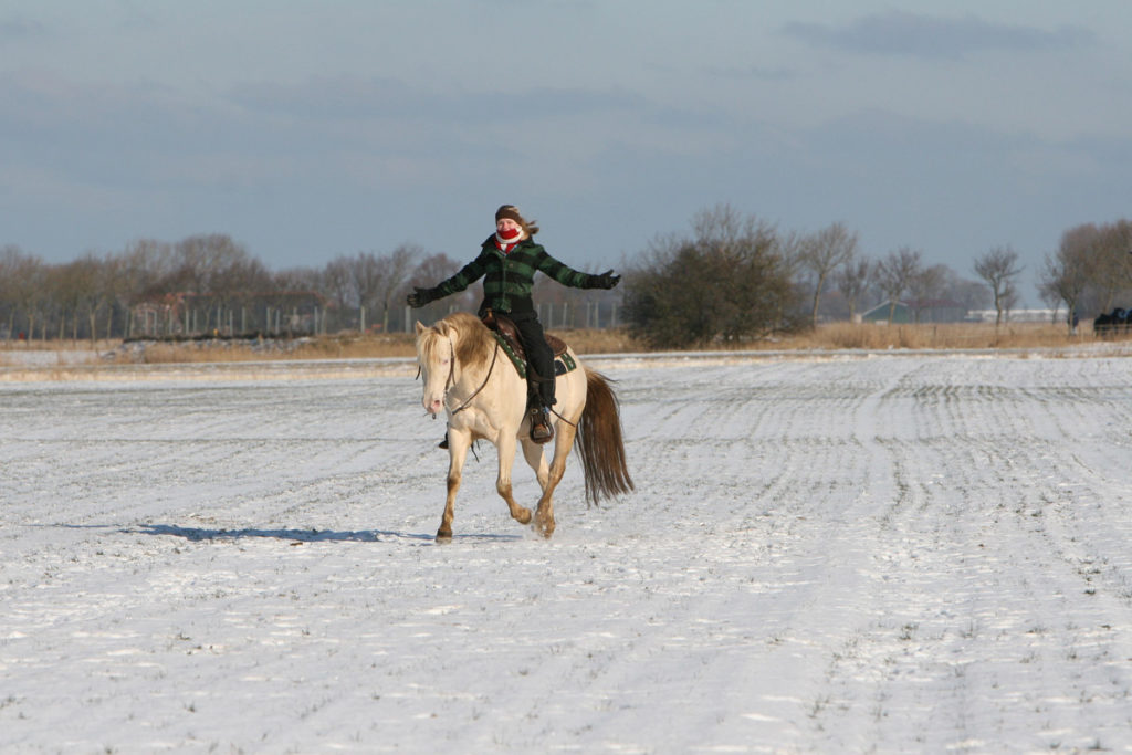 PrettyHorseFarm Pferde